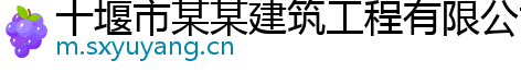 十堰市某某建筑工程有限公司